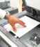 Document Scanning Services: Why Digital Conversion is Essential for Modern Businesses
